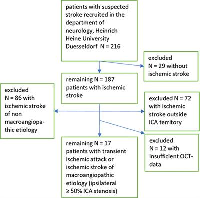 No Alteration of Optical Coherence Tomography and Multifocal Visual Evoked Potentials in Eyes With Symptomatic Carotid Artery Disease